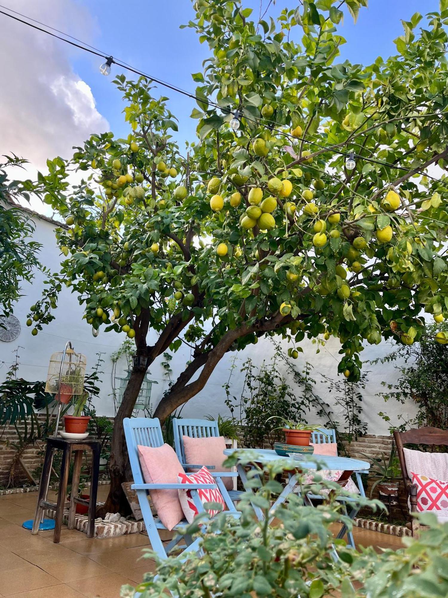 El Patio Del Limonero Villa Écija Buitenkant foto